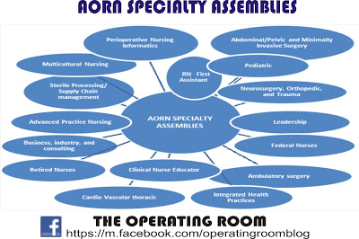 Specialty assemblies in perioperative nursing