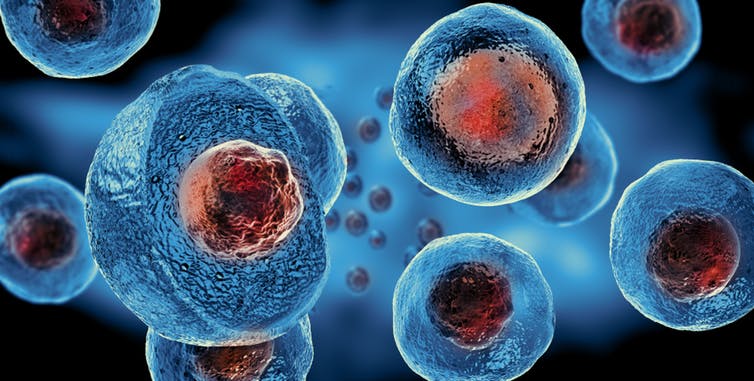 Stem Cell Therapy: Here’s What You Need to Know
