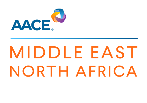 Call for Abstracts : Let your research take you places – AACE MENA Conference on November 17-19, 2023